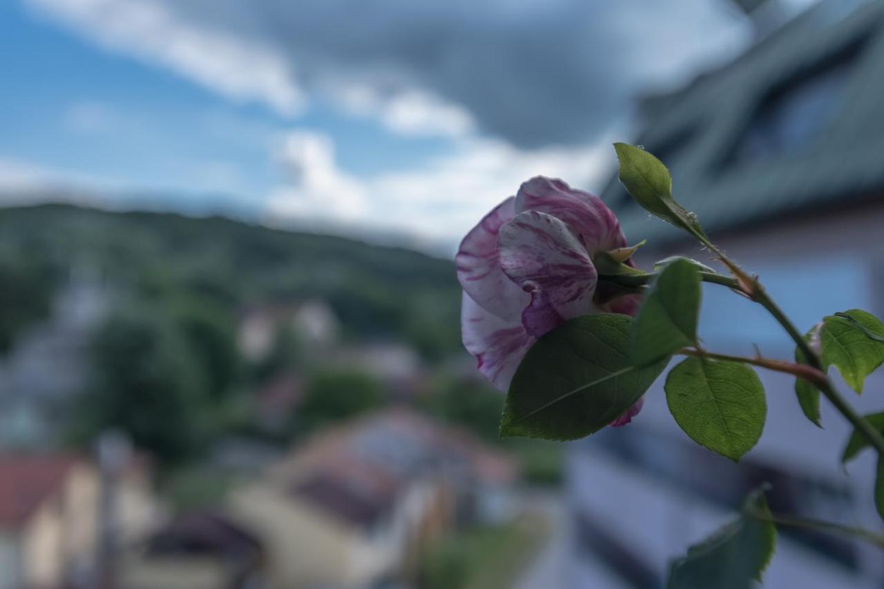 Onore dell’amore Banja Koviljača Esterno foto